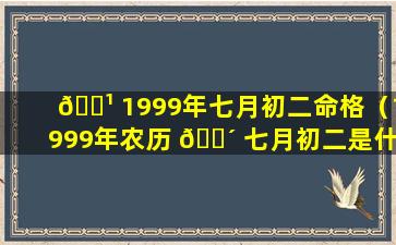 🌹 1999年七月初二命格（1999年农历 🌴 七月初二是什么命）